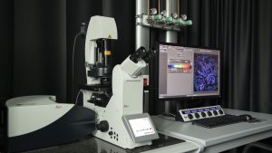 LEICA SP8 Confocal Microscope (Basic)