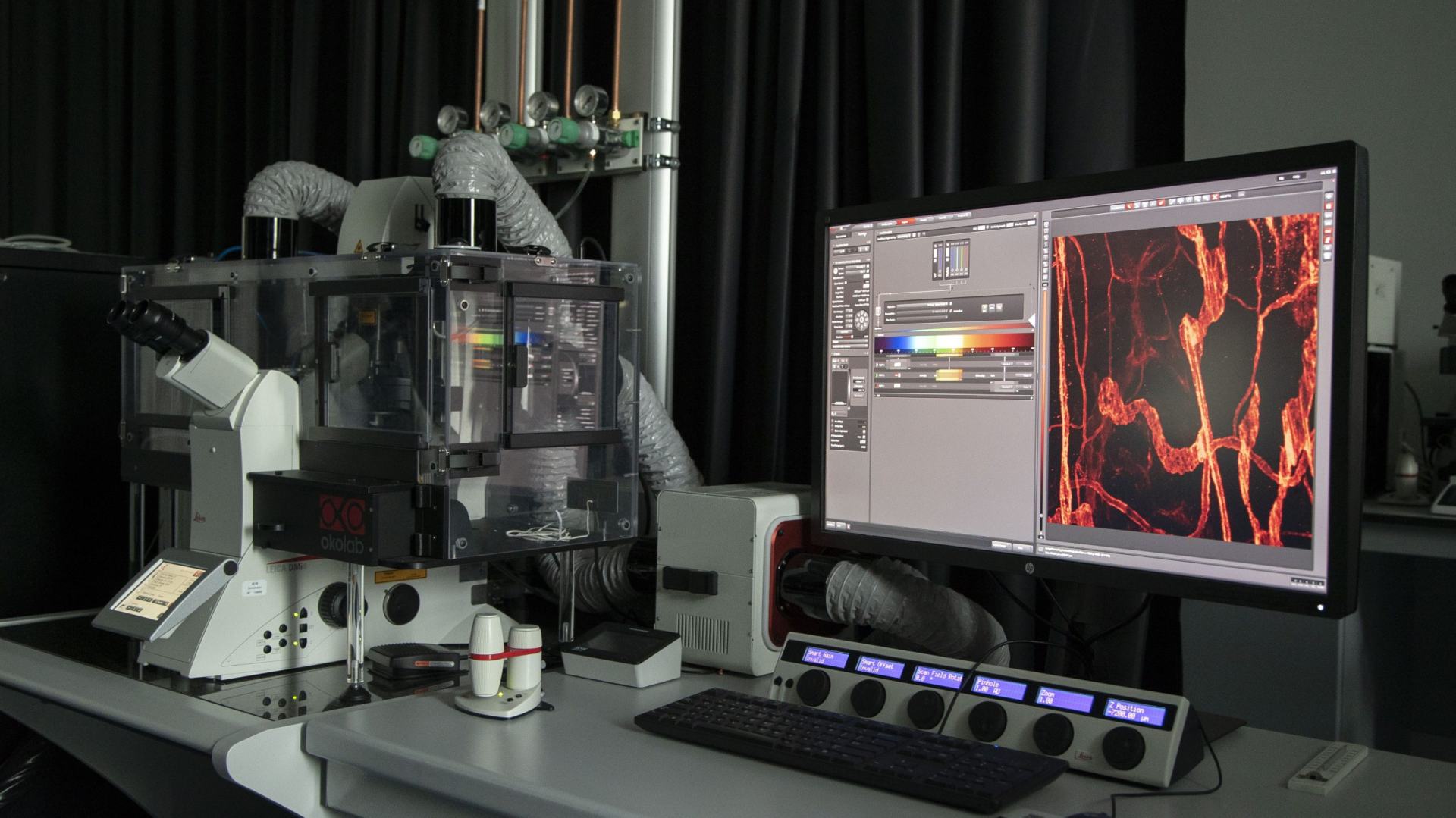 LEICA SP8 Confocal Microscope (Advanced)