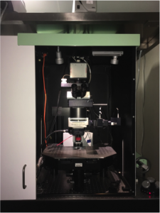 Multiphoton Lavision Trimscope FLIM