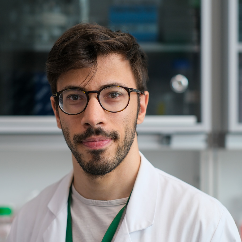 Riccardo Bollini