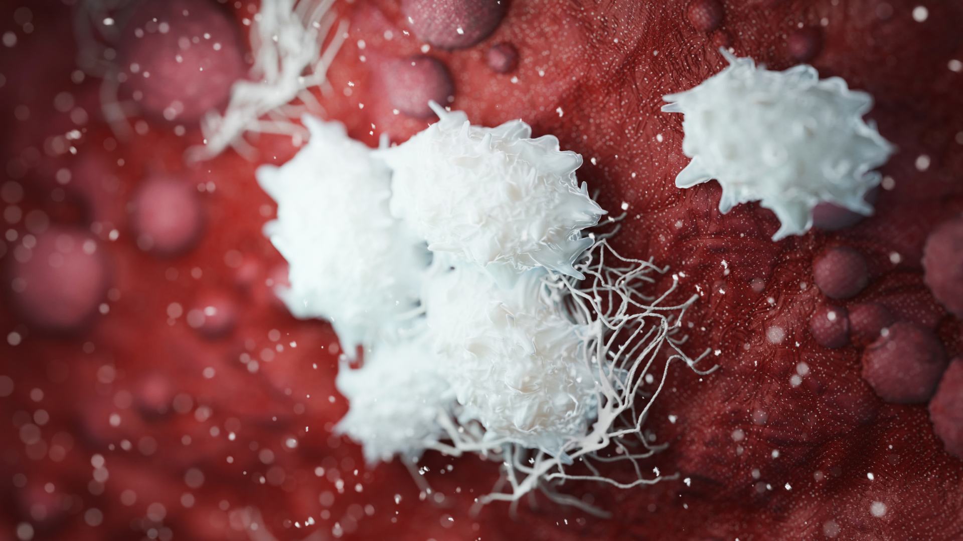 Discovered receptors exploited by tumors to re-educate macrophages